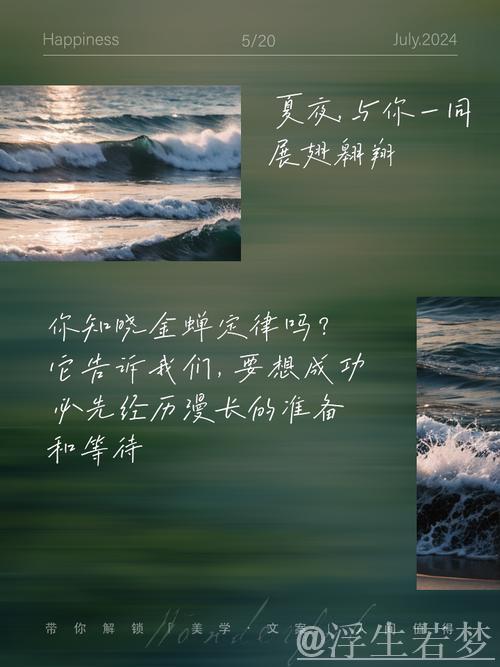 历经磨练 追求卓越 收获蜕变 历经磨练 追求卓越 收获蜕变